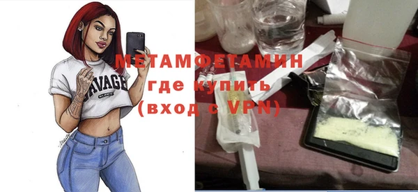 индика Инсар