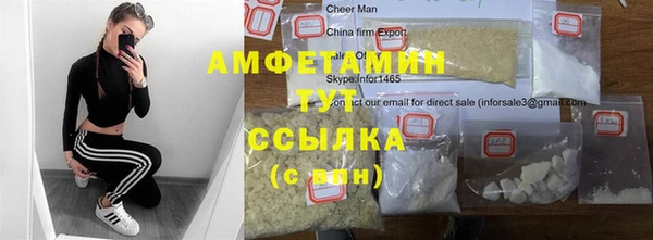 индика Инсар