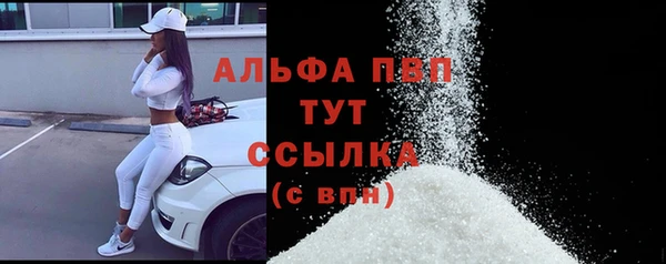 индика Инсар