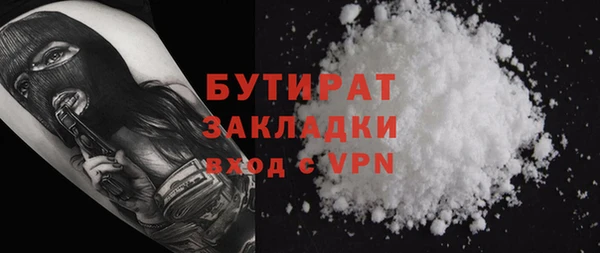 индика Инсар