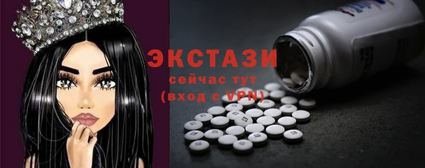 индика Инсар