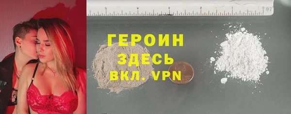 индика Инсар