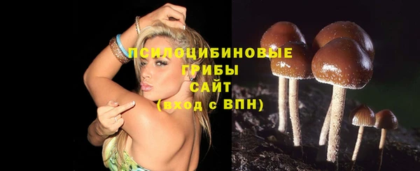 индика Инсар