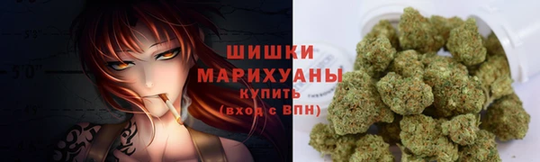 индика Инсар