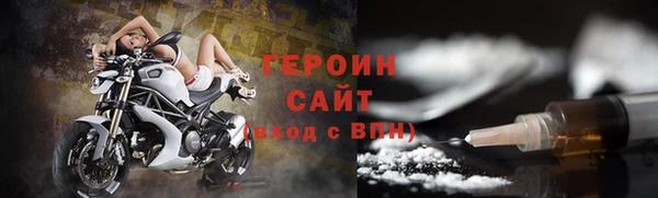 индика Инсар