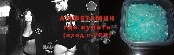 индика Инсар