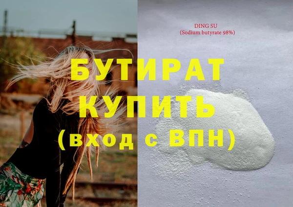 индика Инсар