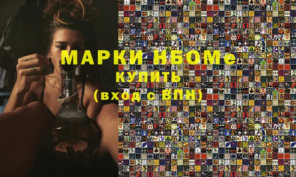 индика Инсар