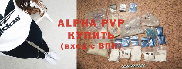 индика Инсар