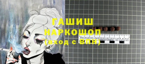 индика Инсар