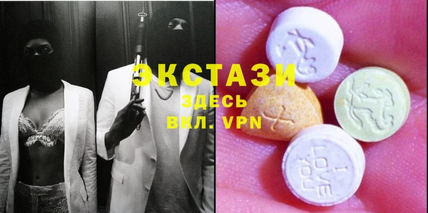 индика Инсар