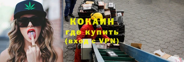 индика Инсар
